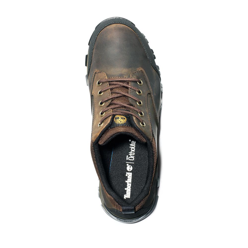 Pantofi De Drumeție Timberland Barbati Maro - Keele Ridge Waterproof - Romania - WCUVZO873